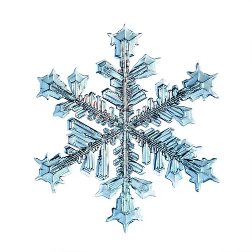 Image: Snowflake isolated natural crystal