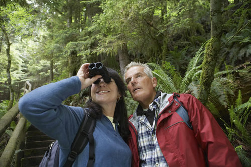 Mature man with middle aged woman using binoculars in forest