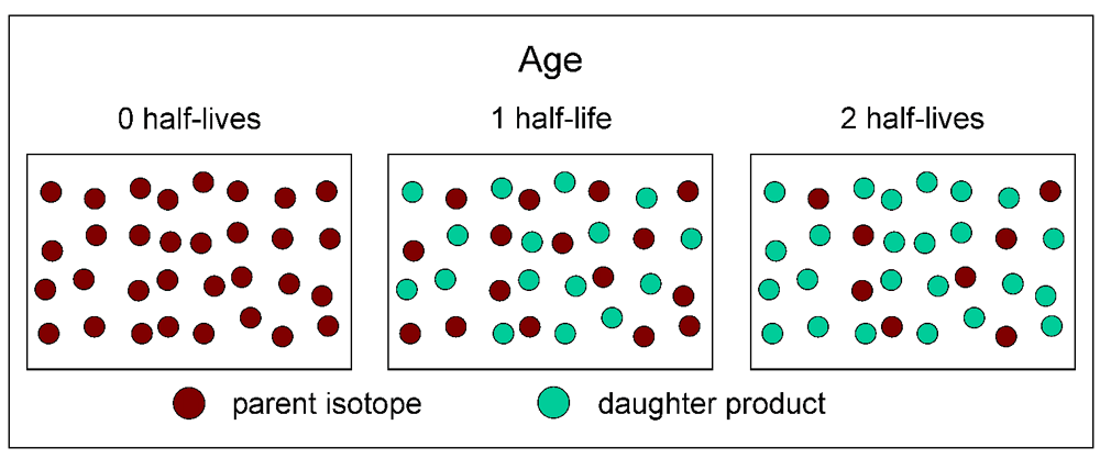 depiction of radioactive decay from the parent element to the daughter element 