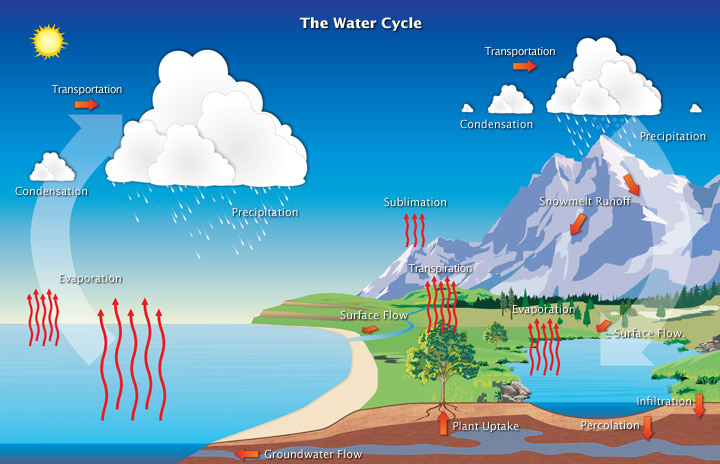 The water cycle - diagram depicting ater n its various stages as it is transported - evaporation;precipitation etc