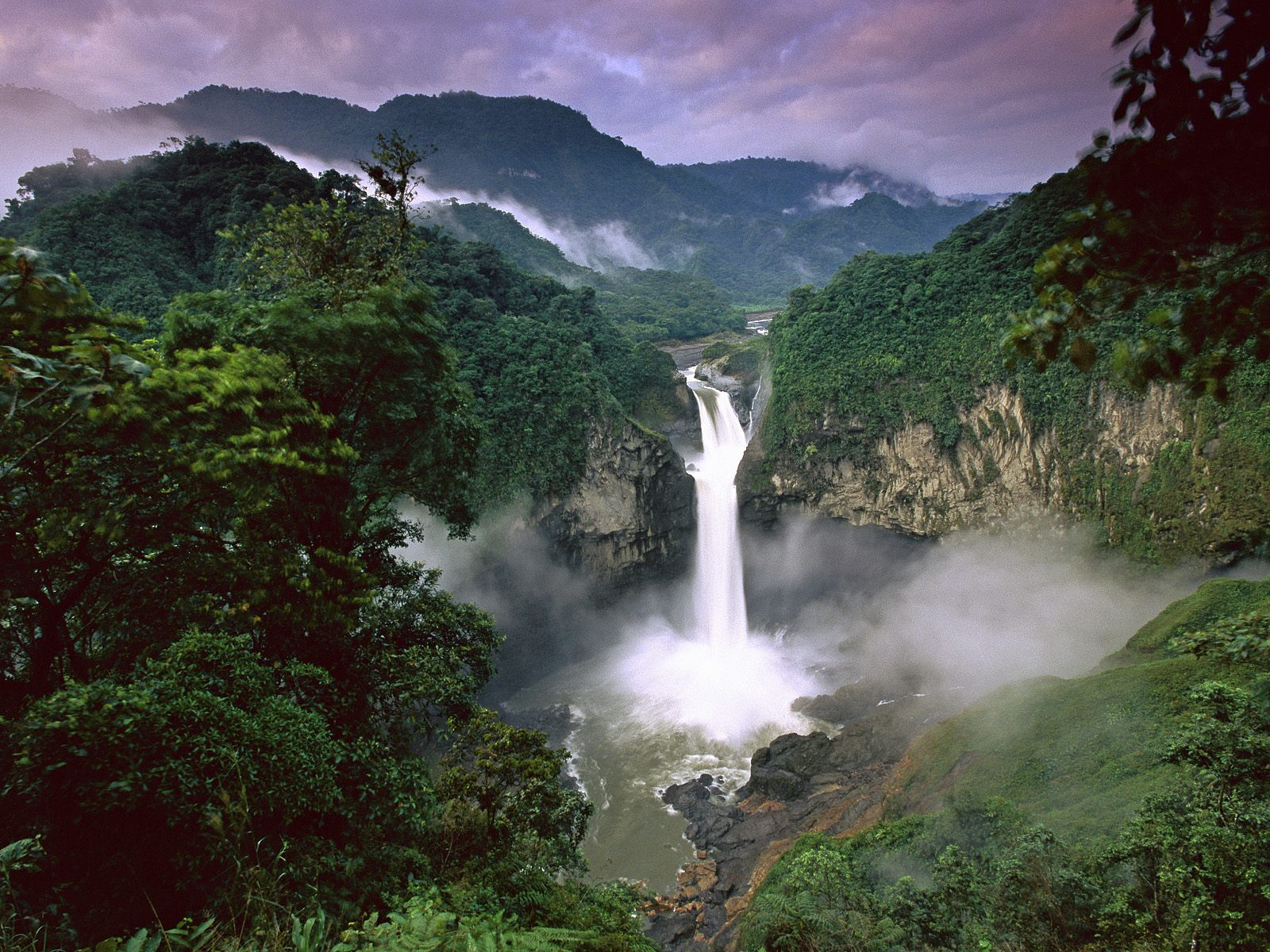 Amazon Rainforest, Venezuela