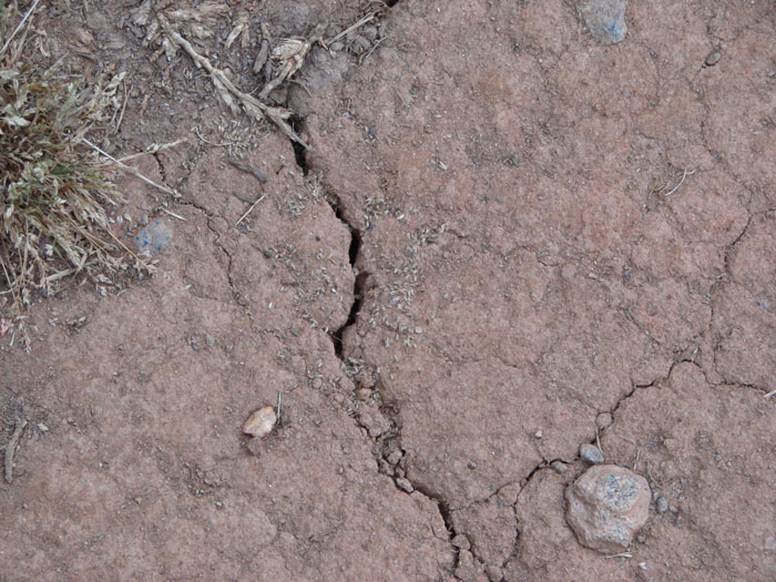 Image of dry and cracked soil
