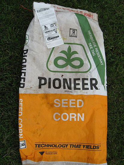 Image of a bag of genetically modified corn seed