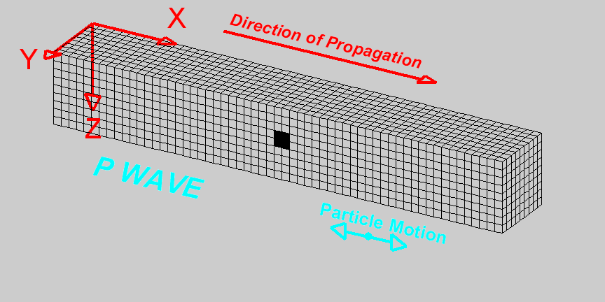 representation of a P wave