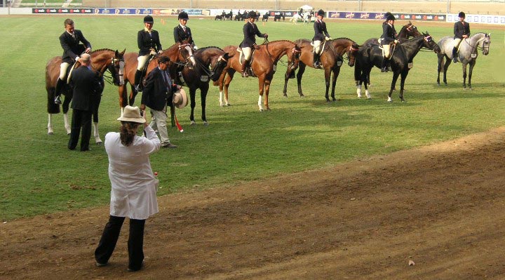 Sydney Royal Easter Show, Awarding a blue ribbon in the Hack class