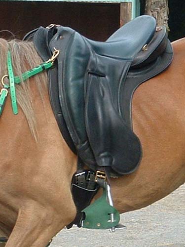 Endurance saddle