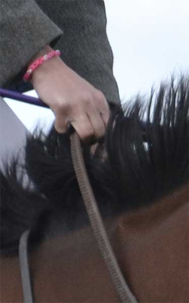 Holding grip reins