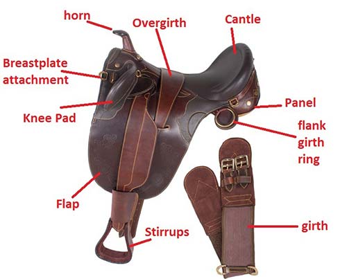 Event saddle labelled