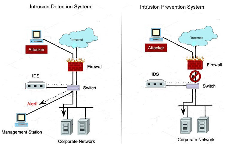 This figure shows a simple schema of IDS