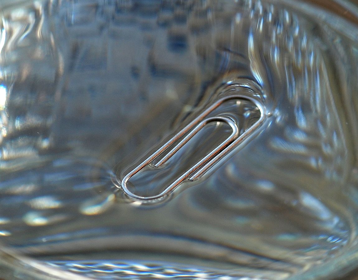 Paperclip floating on water