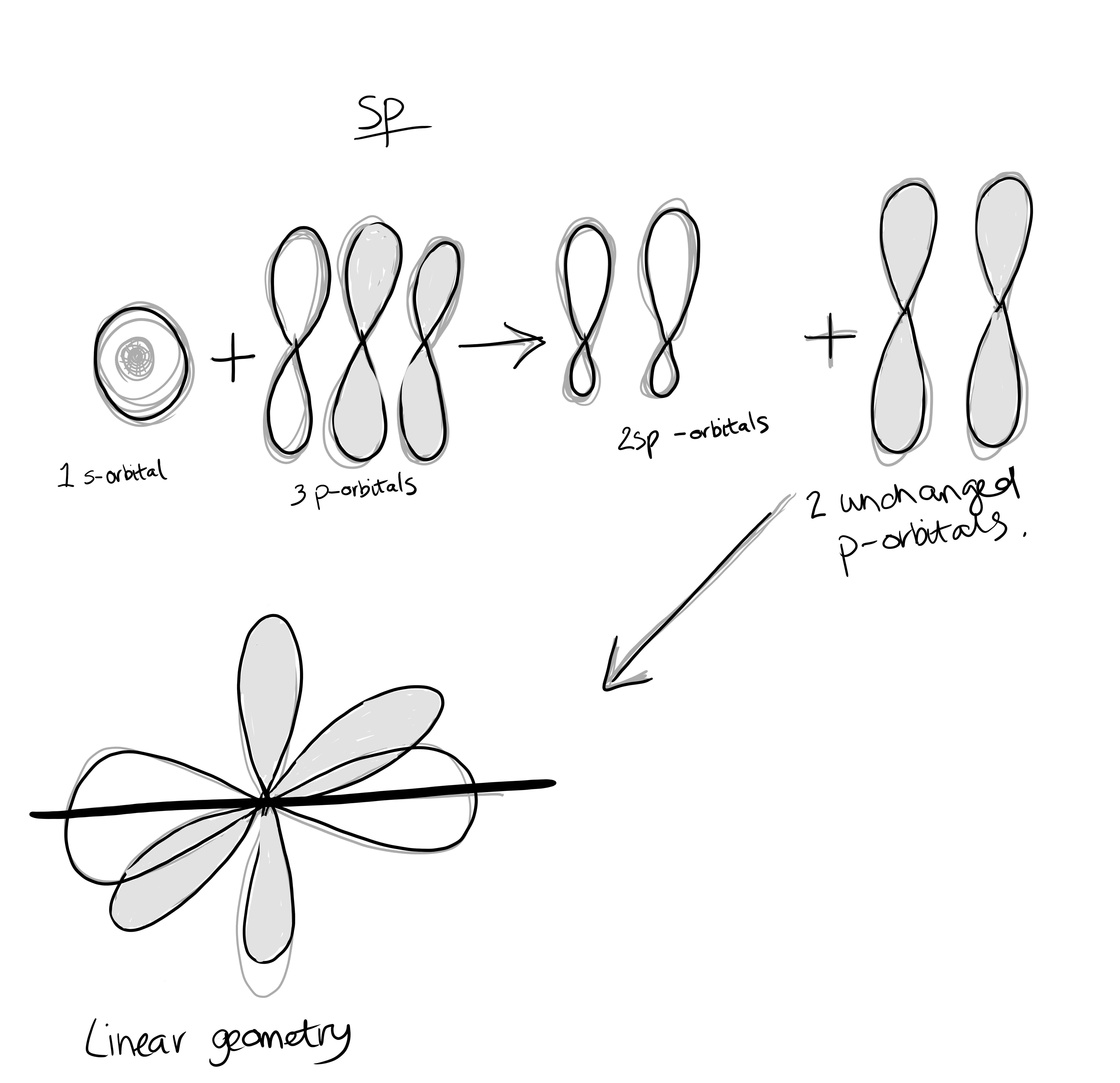 Hybrid orbitals - sp