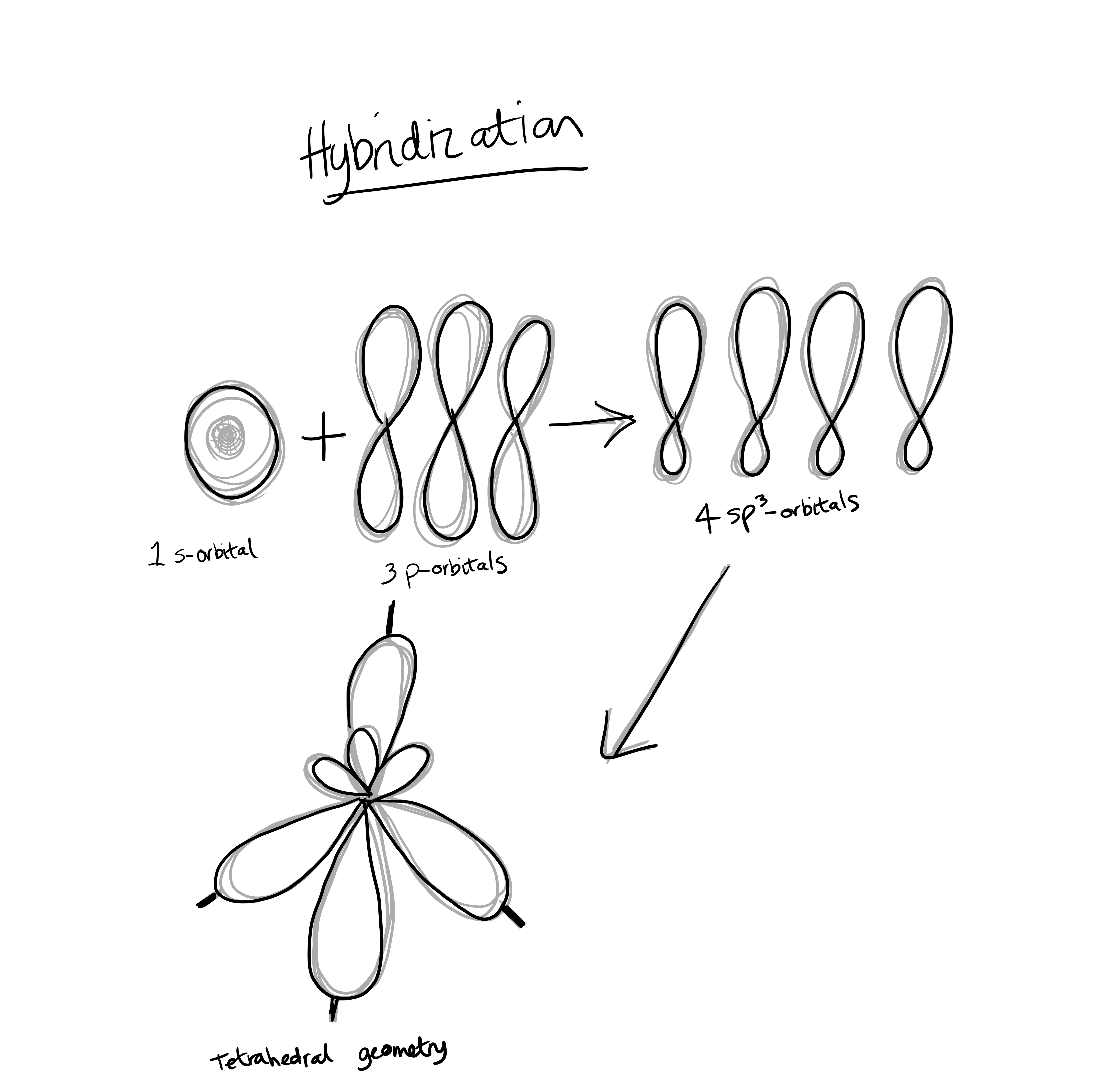 Hybrid orbitals - sp cubed