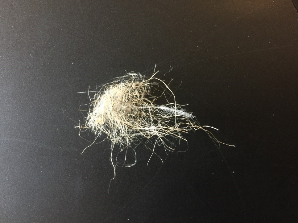 Jute fibres (Natural fibre)