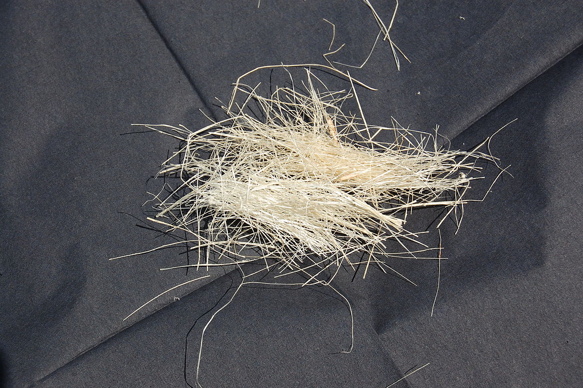 Sisal fibres