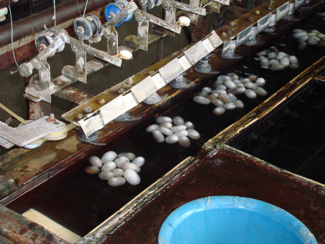 Silk cocoon to thread