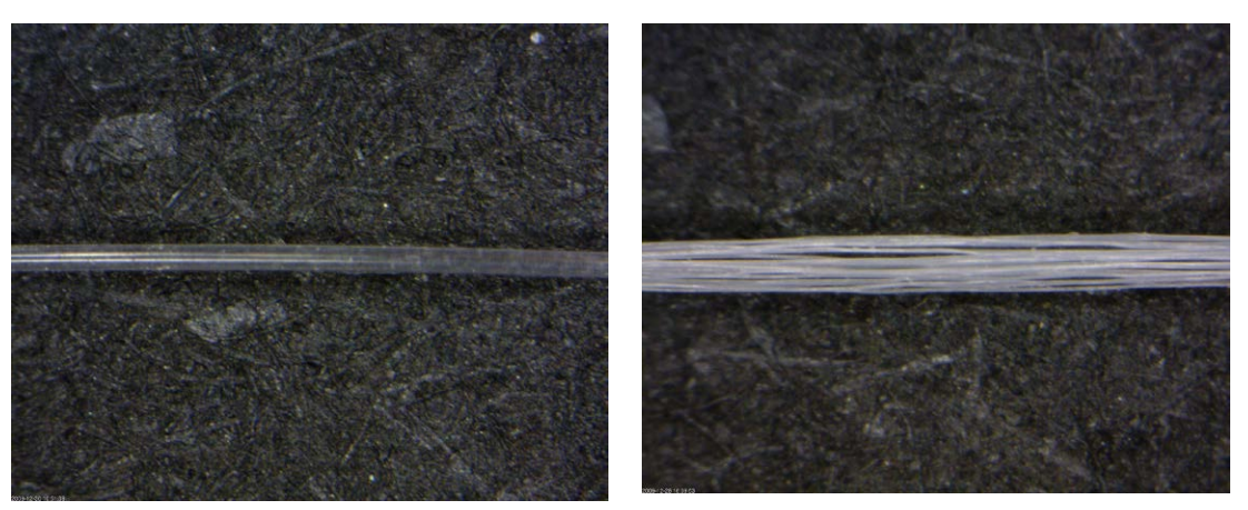 Monofilament and multifilament yarn