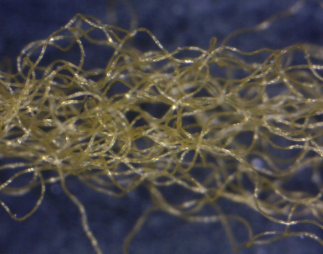 Textured yarns
