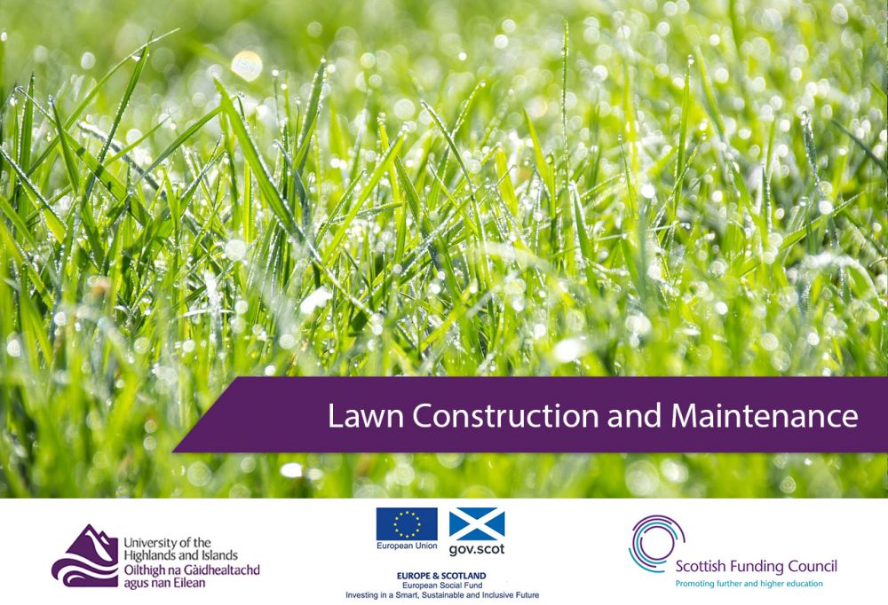 lawn-construction-cover