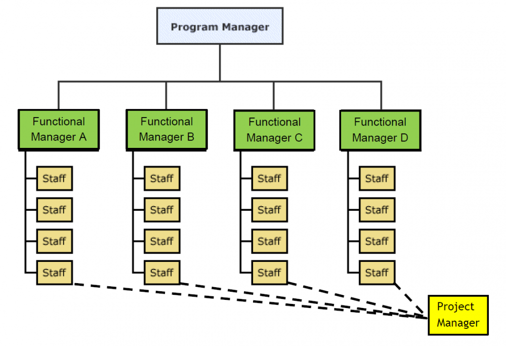 organisational chart