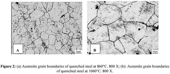 Microstructure of Austenite