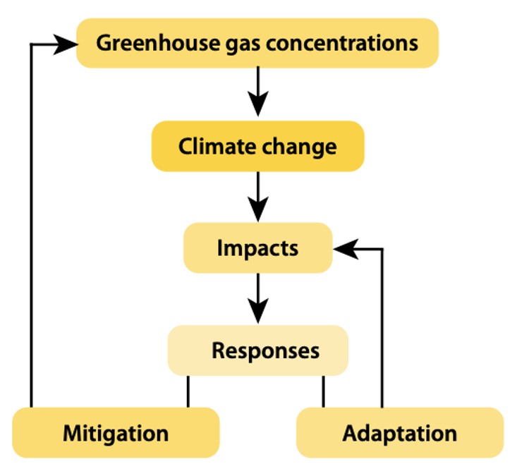 adaptaion versus mitigation