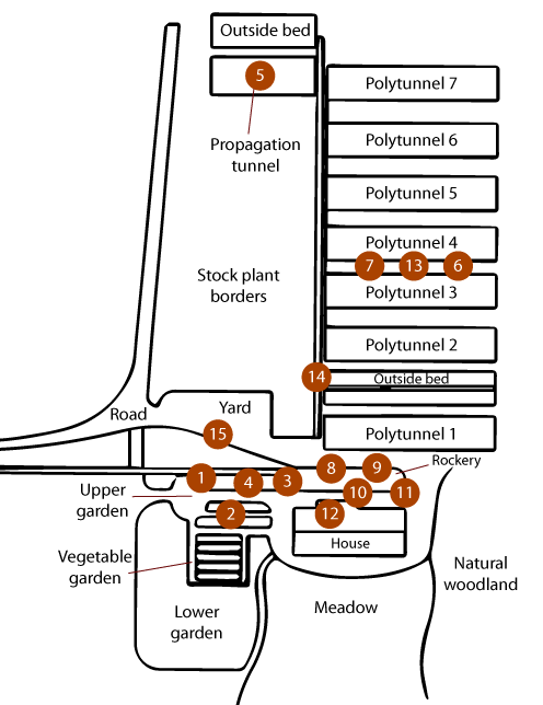 Garden map