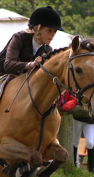 Baltic Cup Show jumping. Shannon Mejnert on Sandy the horse.