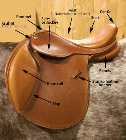 Saddle diagram