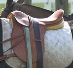 Polo saddle