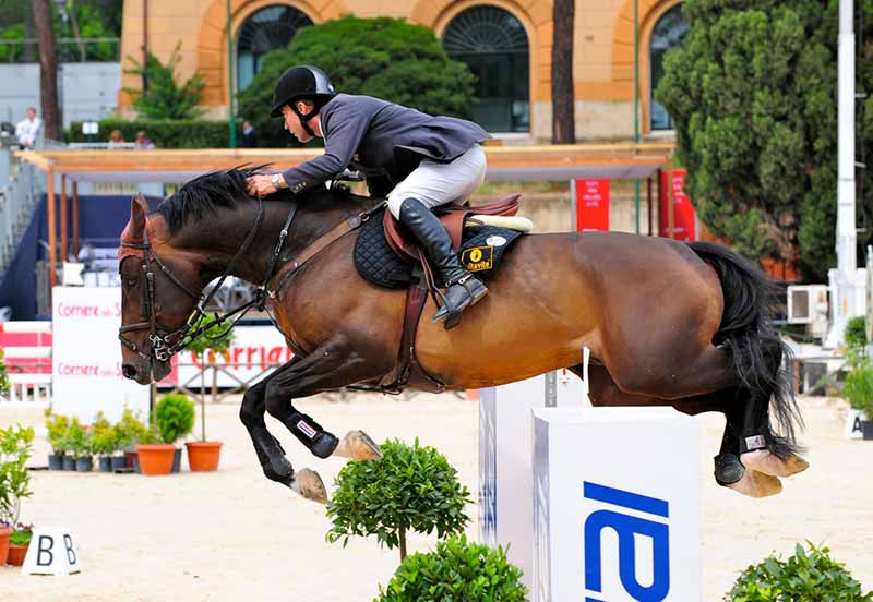 The British show jumper Michael Whitaker and Tackeray, a bay Dutch Warmblood stallion, born in the year 2000